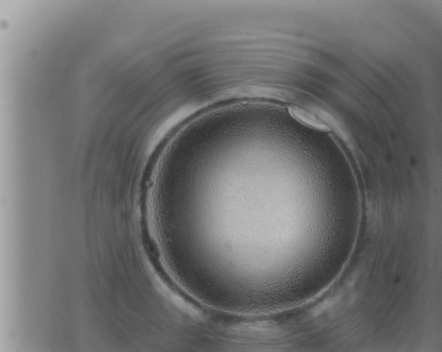 X0000062911133200601201929