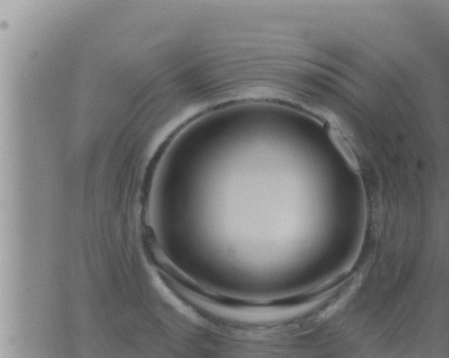 X0000062911134200601201929