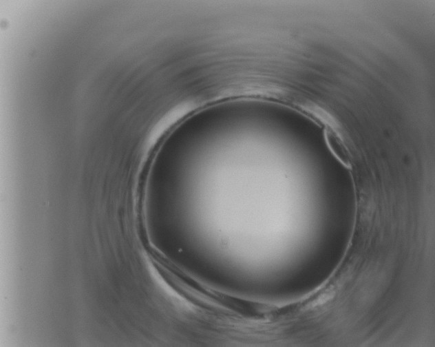 X0000062911135200601201929