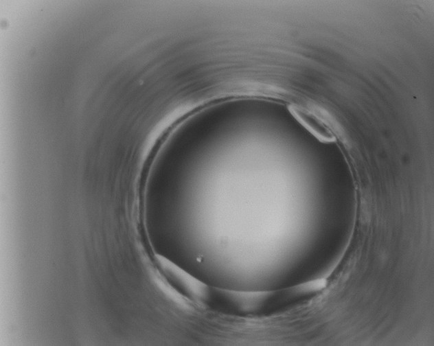 X0000062911136200601201929