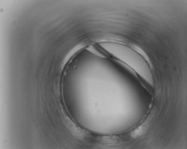 X0000062911138200601201930