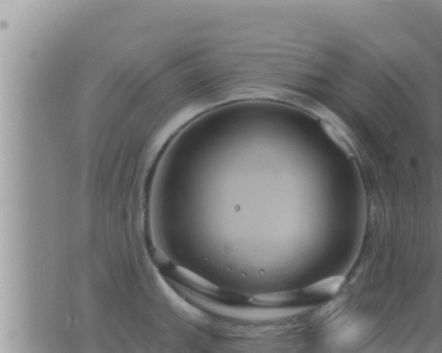 X0000062911143200601201930