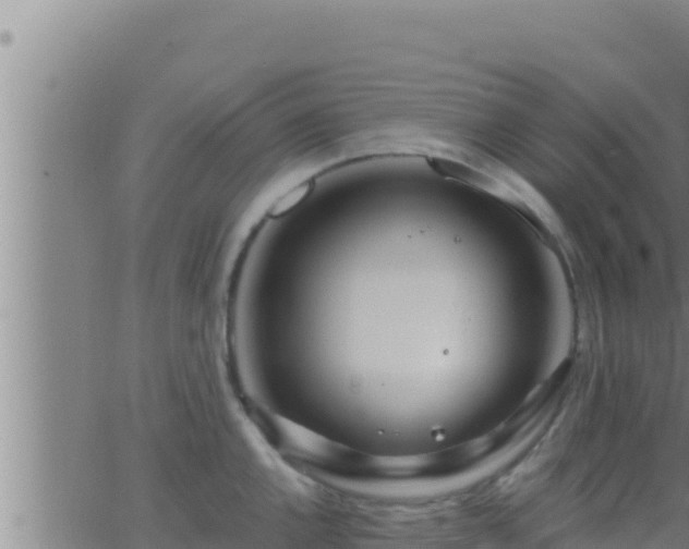 X0000062911144200601201930