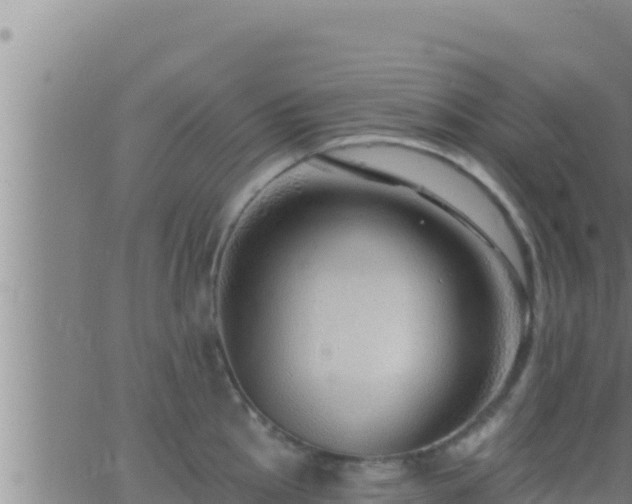 X0000062911145200601201930