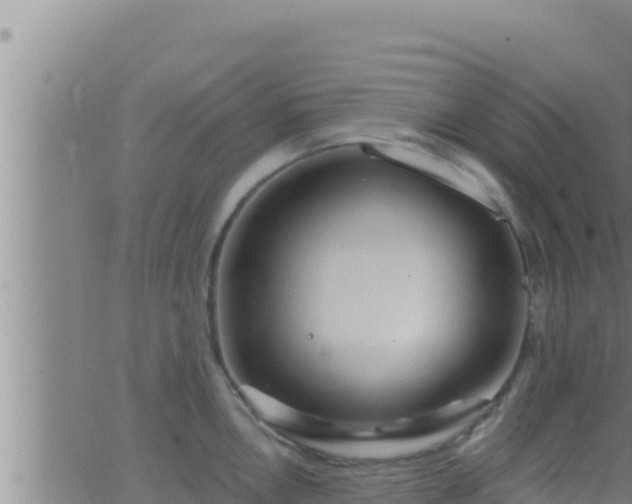 X0000062911146200601201930