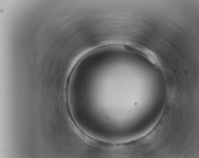 X0000062911148200601201930