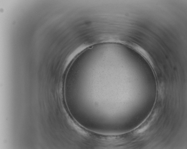 X0000062911149200601201930