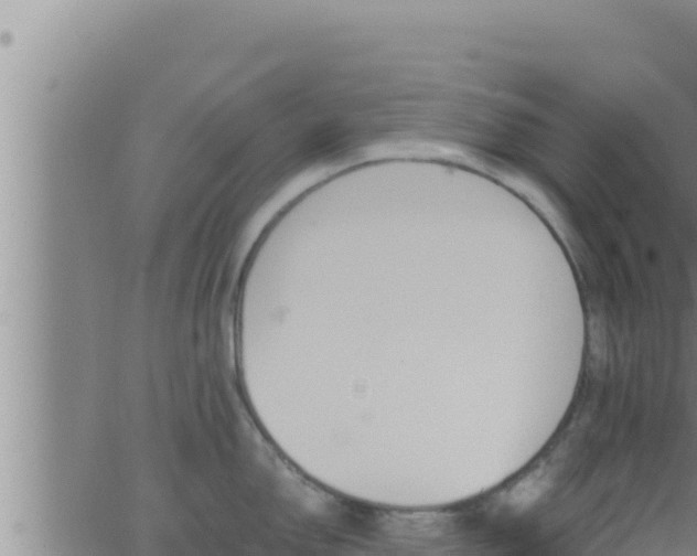 X0000062911150200601201930