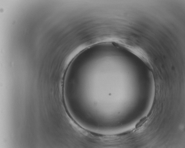 X0000062911151200601201930