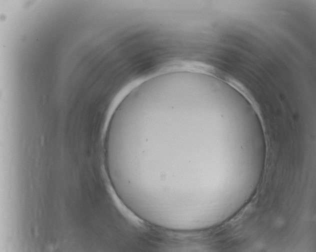 X0000062911152200601201930