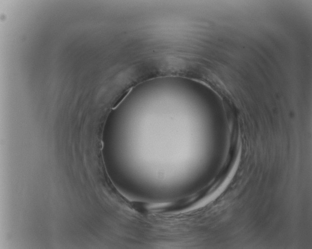 X0000062911153200601201929