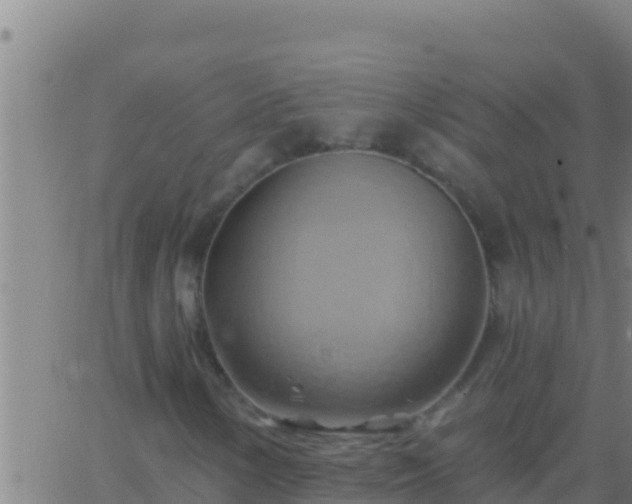 X0000062911154200601201929