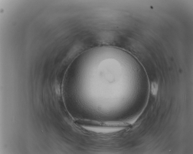 X0000062911155200601201929