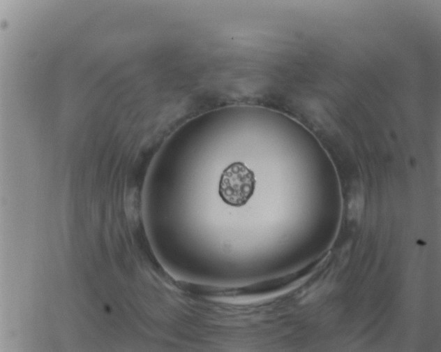 X0000062911156200601201929