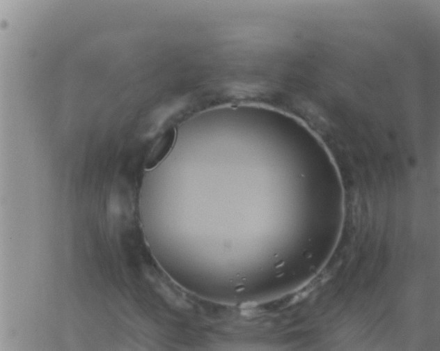 X0000062911158200601201929