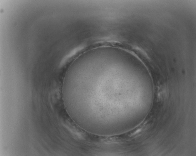 X0000062911159200601201929