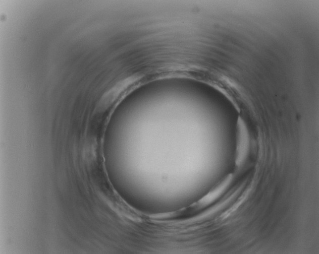 X0000062911161200601201929