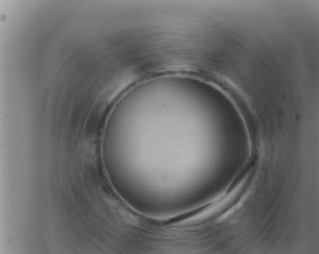 X0000062911162200601201929