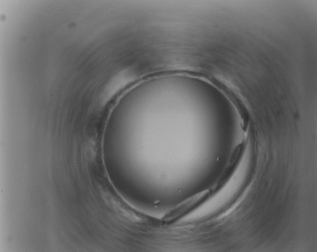 X0000062911163200601201929