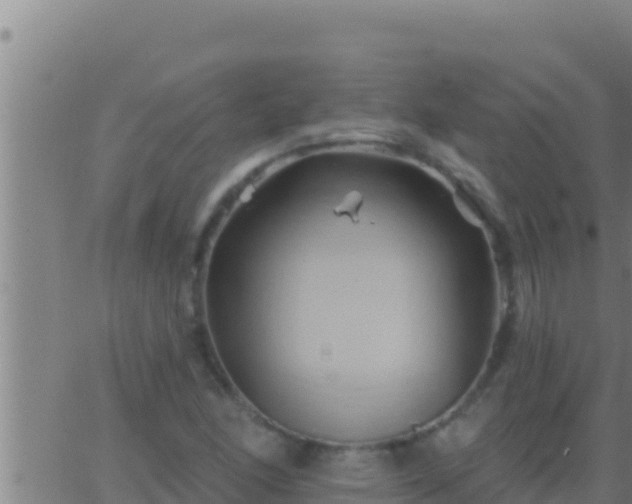 X0000062911166200601201929