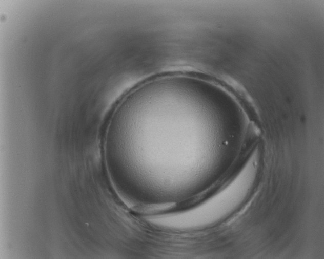 X0000062911167200601201929