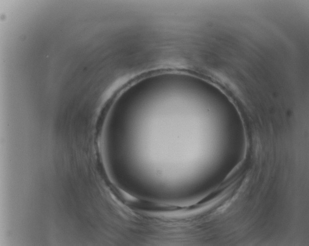 X0000062911168200601201929