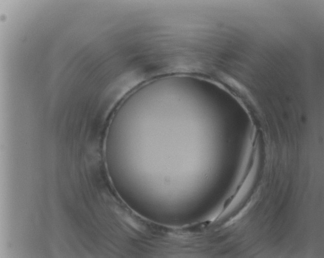 X0000062911170200601201929