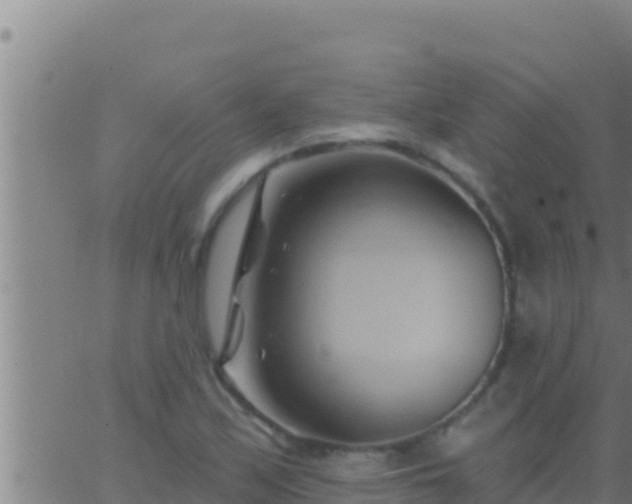 X0000062911171200601201929