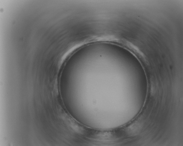 X0000062911174200601201929