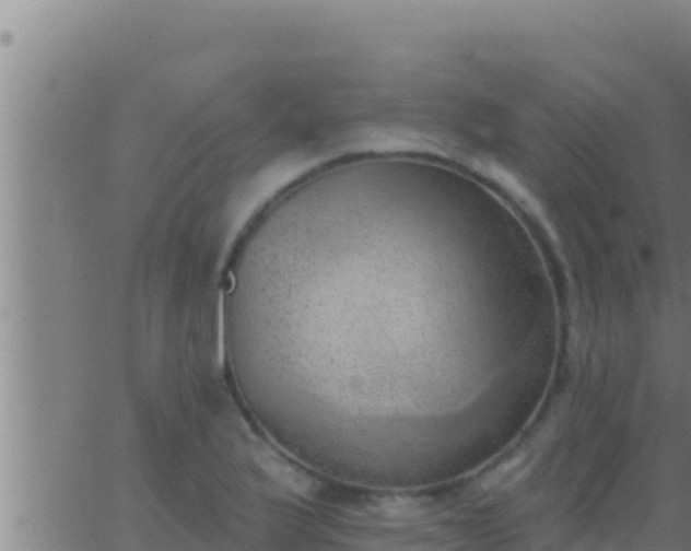 X0000062911175200601201929