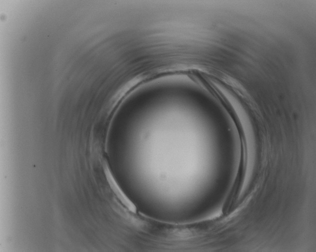 X0000062911177200601201929