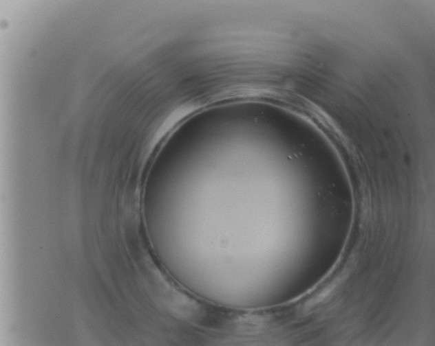 X0000062911178200601201929