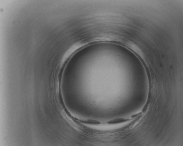 X0000062911179200601201929