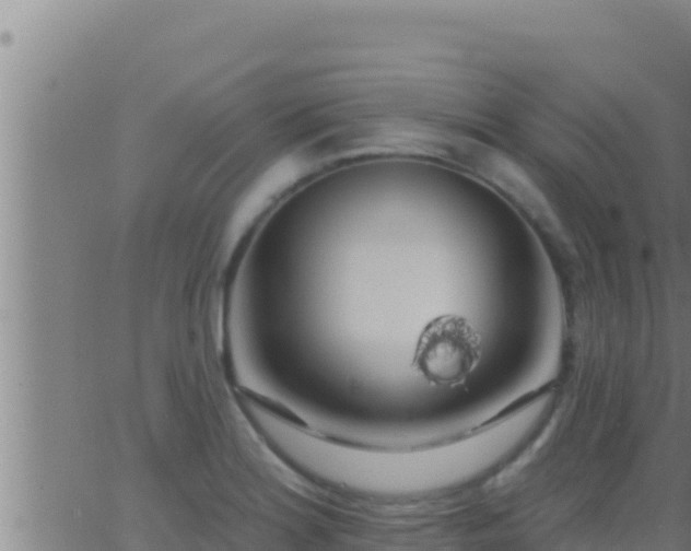 X0000062911180200601201929