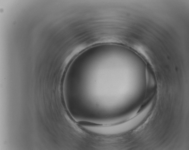 X0000062911181200601201929