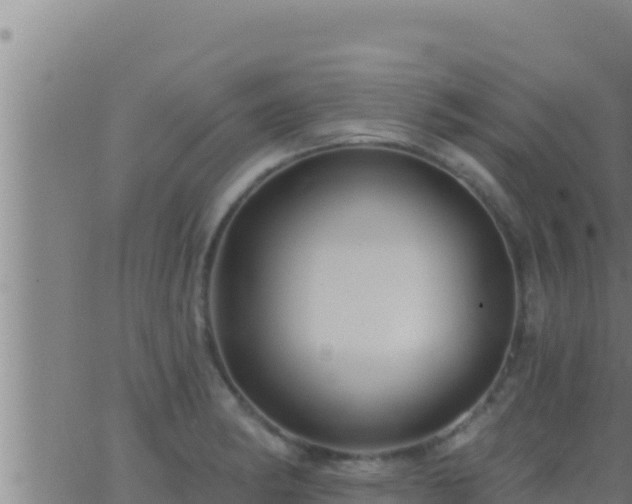 X0000062911182200601201928