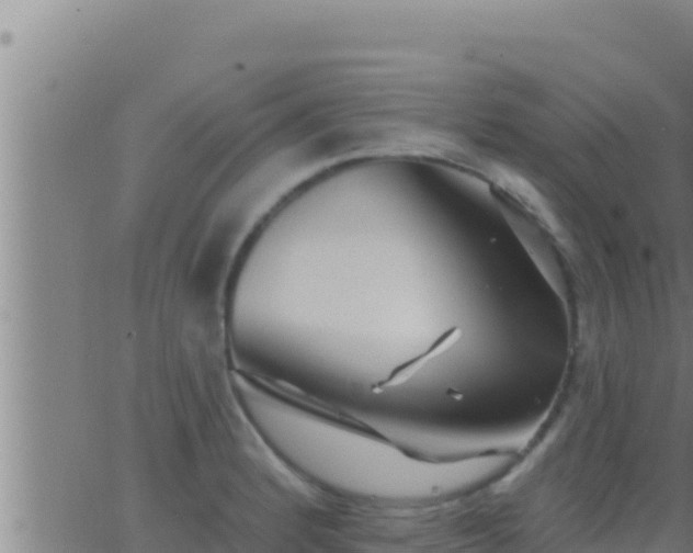 X0000062911184200601201928