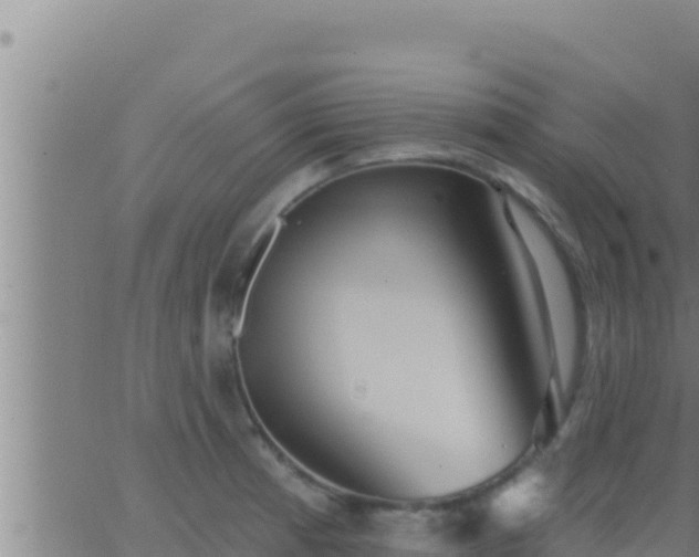 X0000062911185200601201928