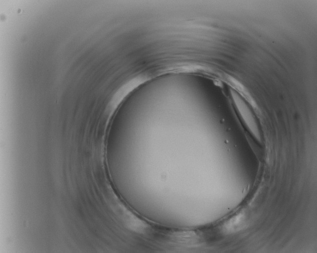 X0000062911186200601201928