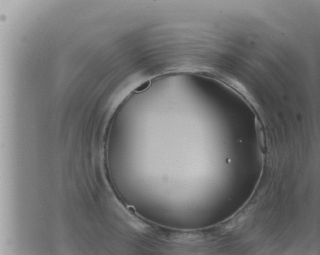 X0000062911187200601201928