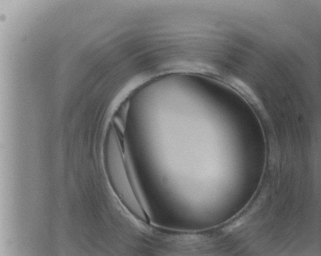 X0000062911188200601201928