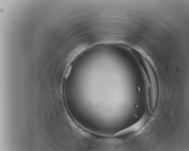 X0000062911189200601201928