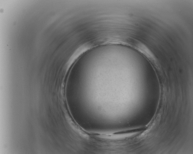 X0000062911190200601201928