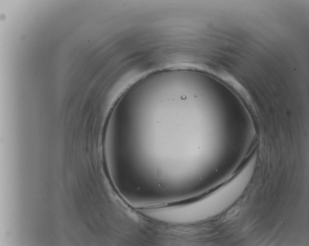 X0000062911191200601201928