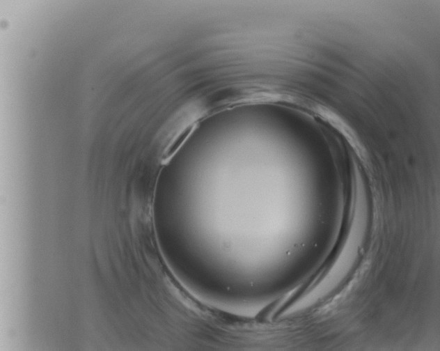 X0000062911193200601201928