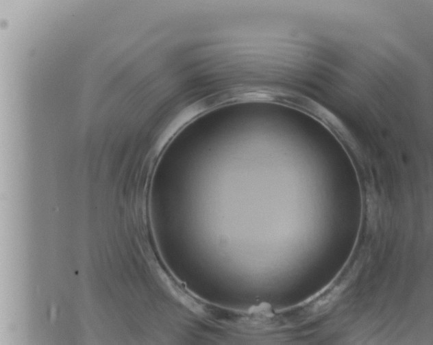 X0000062911194200601201928