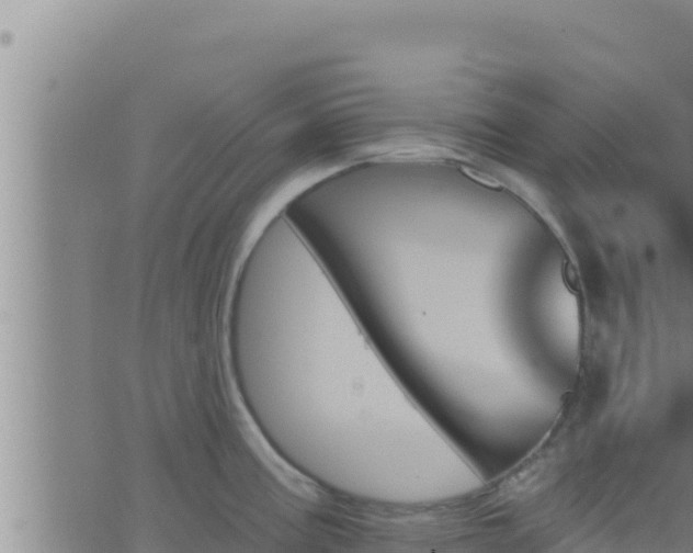 X0000062911195200601201928