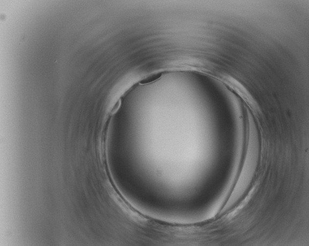 X0000062911196200601201928