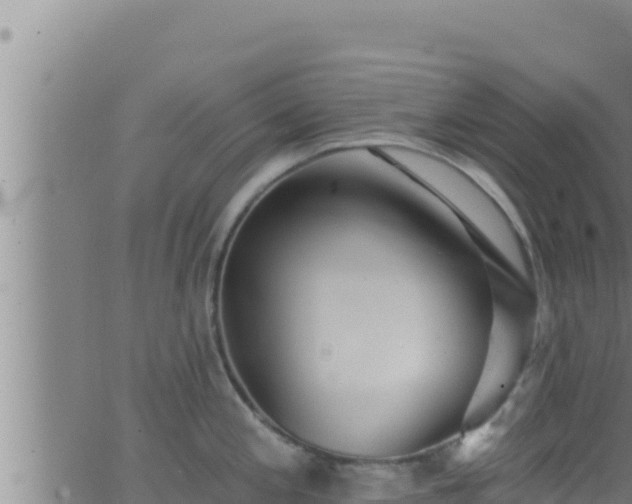 X0000062911197200601201928