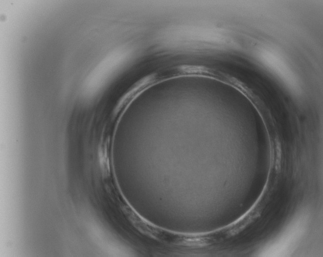 X0000062911198200601201928